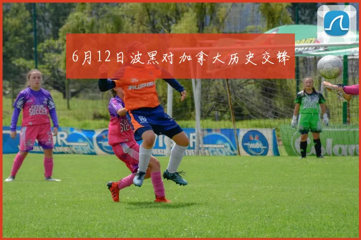 6月12日波黑对加拿大历史交锋