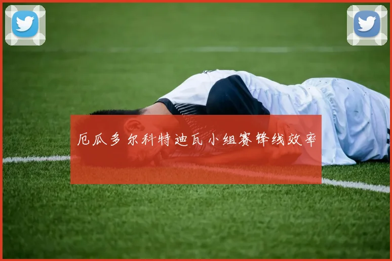 厄瓜多尔科特迪瓦小组赛锋线效率