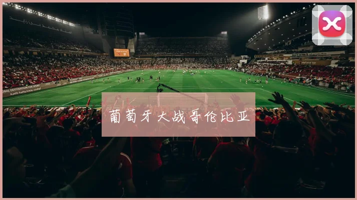 葡萄牙大战哥伦比亚