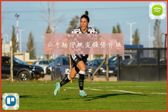 公牛防守蜕变强势升级