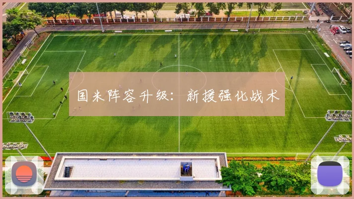 国米阵容升级：新援强化战术