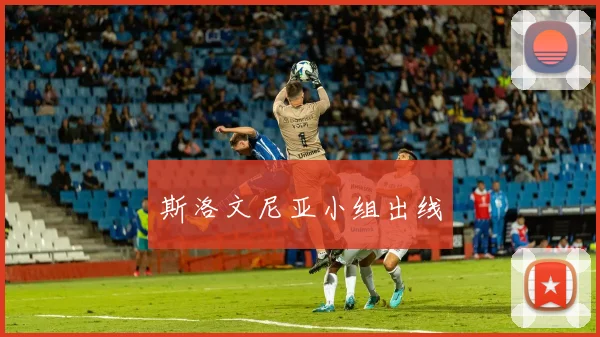 斯洛文尼亚小组出线