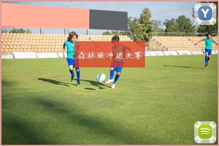 森林狼冲进决赛