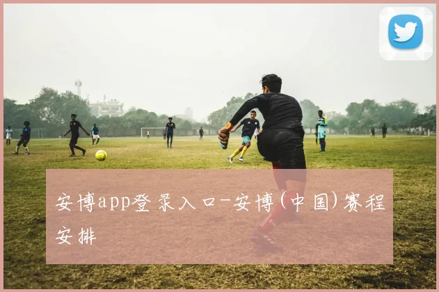 安博app登录入口-安博(中国)赛程安排