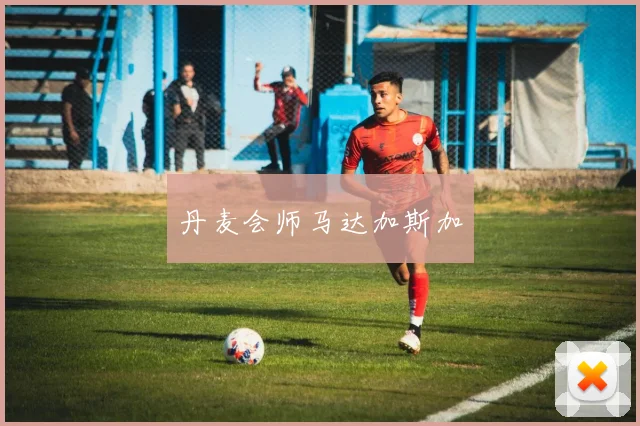 丹麦会师马达加斯加