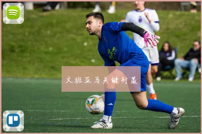 文班亚马关键封盖