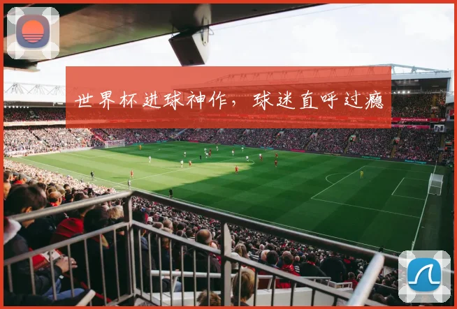 世界杯进球神作，球迷直呼过瘾