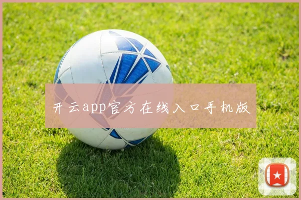 开云app官方在线入口手机版