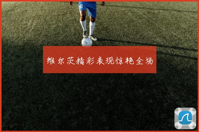维尔茨精彩表现惊艳全场