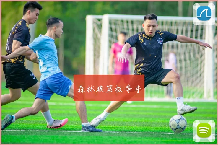 森林狼篮板争夺