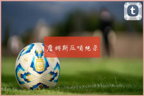 詹姆斯压哨绝杀