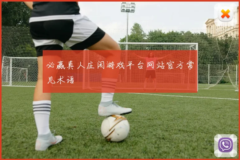 必赢真人庄闲游戏平台网站官方常见术语