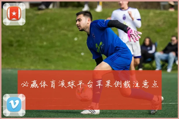 必赢体育滚球平台苹果侧载注意点