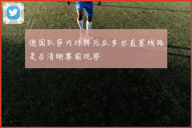 德国队萨内对阵厄瓜多尔直塞线路是否清晰赛前观察